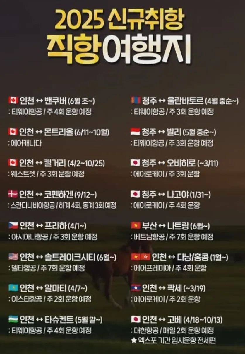 2025년 신규취항 여행지(직항)